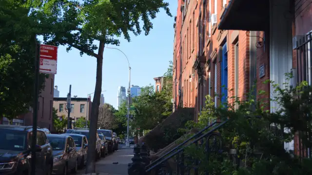 DSC 0164