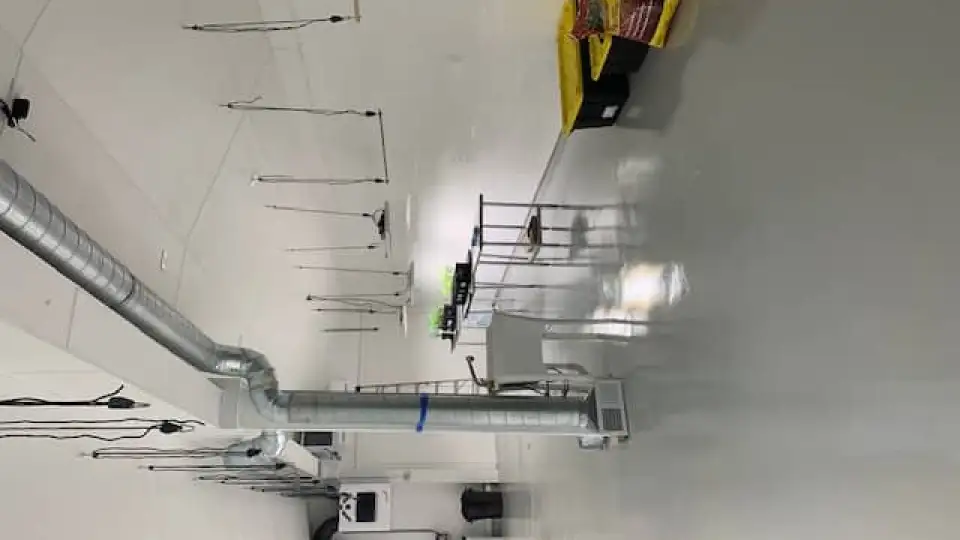 IMG 0711