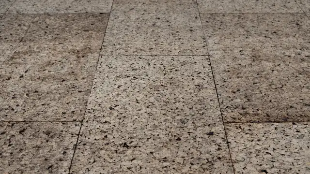 img 3491