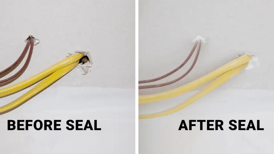 abr before after 3